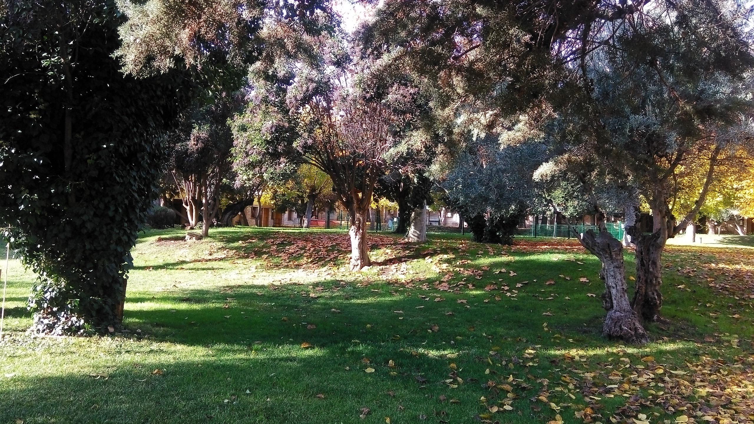 Hotel Los Olivos Getafe Exteriér fotografie