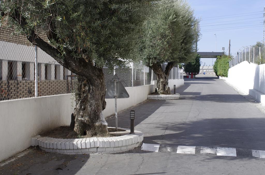 Hotel Los Olivos Getafe Exteriér fotografie